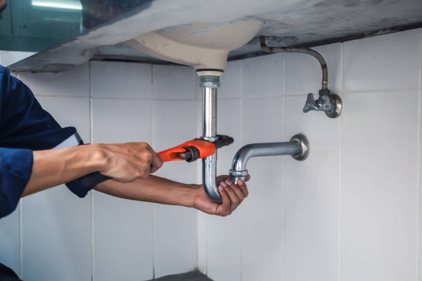 Best Sprinkler Systems  in Nokomis, FL