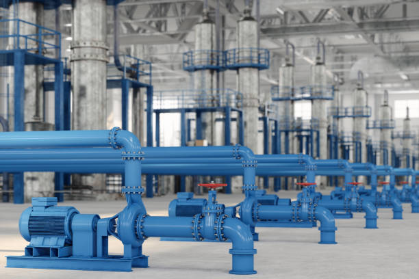 Best Local Plumber Services  in Nokomis, FL